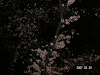 s_PICT0007_thumb.png